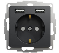 Розетка электрическая с USB тип А+А, черный, Sedna Design
