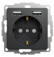 Розетка электрическая с USB тип А+А, черный, Sedna Design