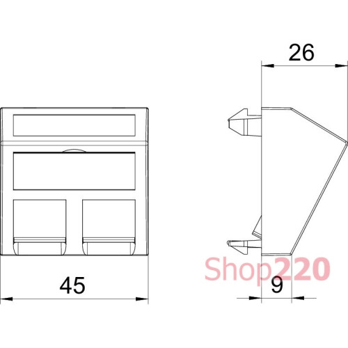 Панель для двух модулей RJ45 R&M наклонная, 45х45, графит, 6119252 Obo Bettermann