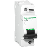 Автоматический выключатель 125А, 1 полюс, кривая C, C120N Acti9 Schneider Electric