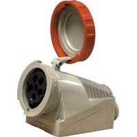 Силовая розетка стационарная 2Р+Z, 250В, 16А, IP67, Tarel