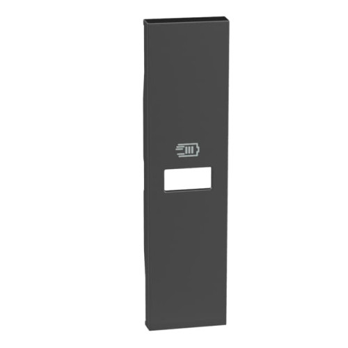 Розетка USB на тип - А 15 Вт/3000мА 1 модуль, черный, Bticino Living Now