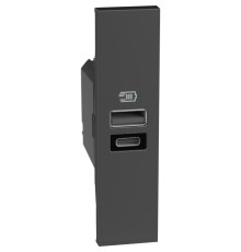Розетка USB на 2 разъёма тип - A/C 15 Вт/3000мА 1 модуль, черный, Bticino Living Now