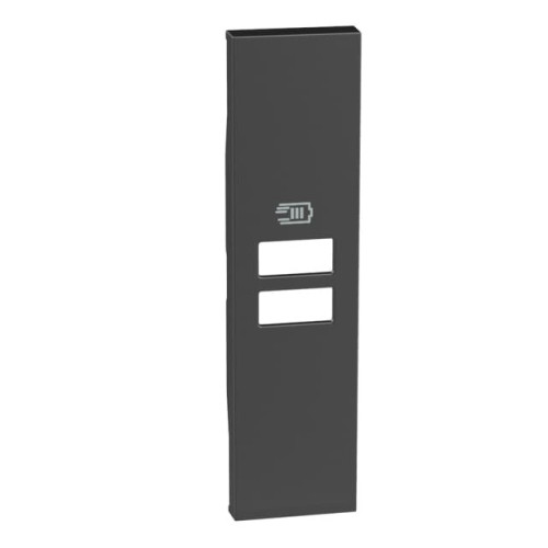 Розетка USB на 2 разъёма тип - A/C 15 Вт/3000мА 1 модуль, черный, Bticino Living Now