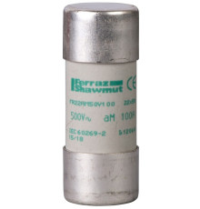 Предохранитель 125A, тип AM, 22x58
