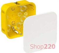 Коробка распределительная для полых стен 100 x 100 x 50, IMT35161 Schneider