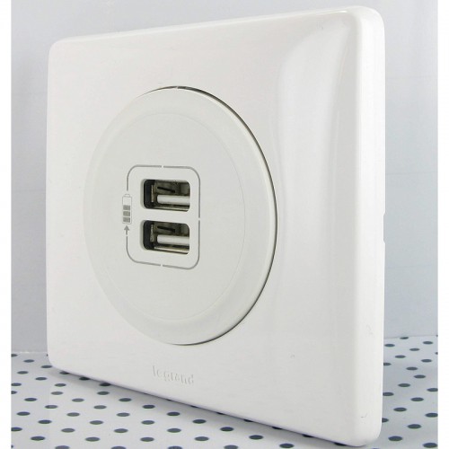Розетка USB для зарядки, 67462 Legrand Celiane
