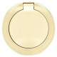 Накладка электрической розетки IP44, слоновая кость, 67827 Legrand