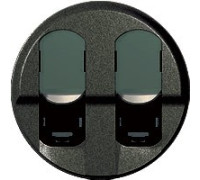 Панель двойной компьютерной розетки RJ45, графит, 67952 Legrand Celiane