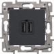 Розетка USB, антрацит, 672694 Legrand Etika