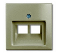 Накладка для двойной компьютерной розетки, шампань, ABB 1803-02-93-507 Basic 55