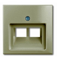 Накладка для двойной компьютерной розетки, шампань, ABB 1803-02-93-507 Basic 55