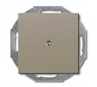 Заглушка, шампань, ABB 2538-93-507 Basic 55