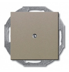 Заглушка, шампань, ABB 2538-93-507 Basic 55