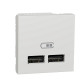 Розетка USB для зарядки, двойная, белый, 2 модуля, Unica New Schneider NU341818