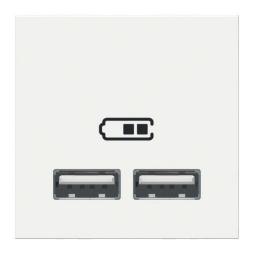 Розетка USB для зарядки, двойная, белый, 2 модуля, Unica New Schneider NU341818