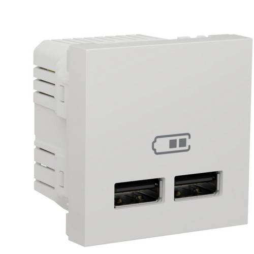 Розетка USB для зарядки, двойная, белый, 2 модуля, Unica New Schneider NU341818