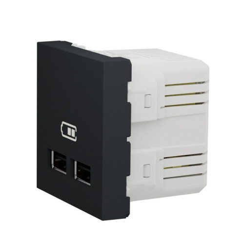 Розетка USB для зарядки, двойная, антрацит, 2 модуля, Unica New Schneider NU341854