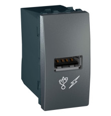 Розетка USB для зарядки, 1 модуль, графит, MGU3.428.12 Schneider