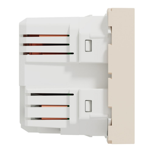 Розетка USB для зарядки, двойная, бежевый, 2 модуля, Unica New Schneider NU341844