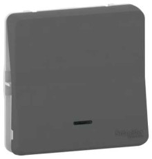 Переключатель с подсветкой IP55, черный, Mureva Styl Schneider MUR35025