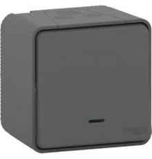 Переключатель с подсветкой накладной IP55, черный, Mureva Styl Schneider MUR35024