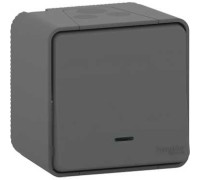Кнопка с подсветкой накладная IP55, черный, Mureva Styl Schneider MUR35028