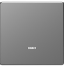 Клавиша одинарная с подсветкой, нержавеющая сталь, D-Life Merten MTN3320-6036