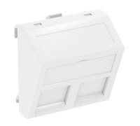 Панель для двух модулей RJ45 R&M наклонная, 45х45, белый, 6119298 Obo Bettermann