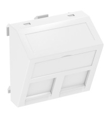 Панель для двух модулей RJ45 R&M наклонная, 45х45, белый, 6119298 Obo Bettermann
