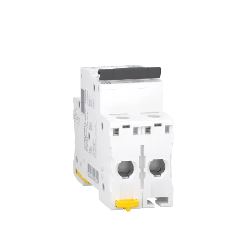 Автоматический выключатель 50А, 2 полюса, кривая C, IC60N Acti9 Schneider Electric A9F79250