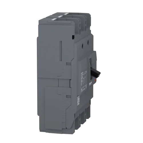 Силовой автоматический выключатель 100 А, трехфазный, 25кА, EasyPact Schneider EZC250N3100