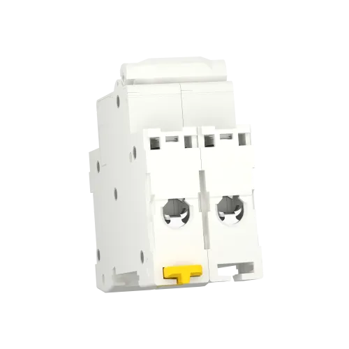 Автомат 63А, 2 полюса, уставка С, Resi9 R9F12263 Schneider Electric