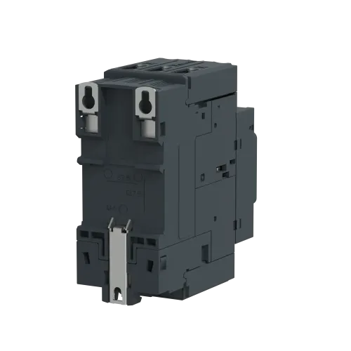 Автоматический выключатель термо-магнитный Everlink, 40 A GV3P40