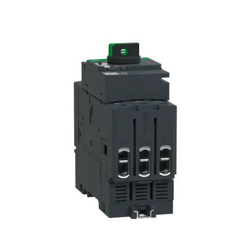 Автоматический выключатель термо-магнитный Everlink, 40 A GV3P40
