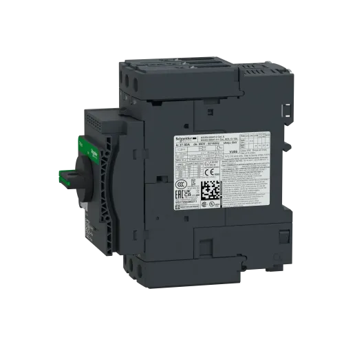 Автоматический выключатель термо-магнитный Everlink, 50 A GV3P50