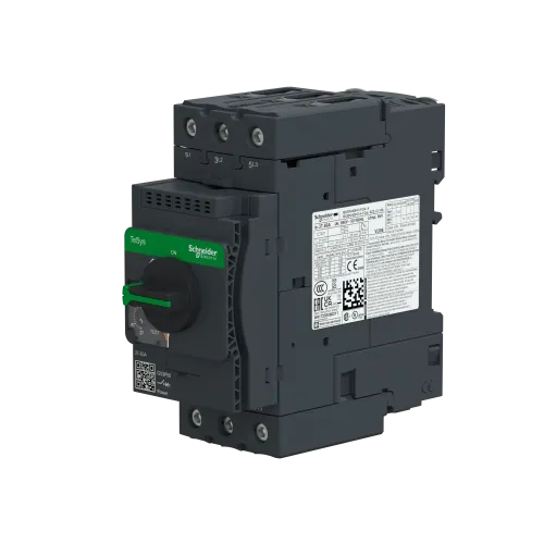Автоматический выключатель термо-магнитный Everlink, 50 A GV3P50