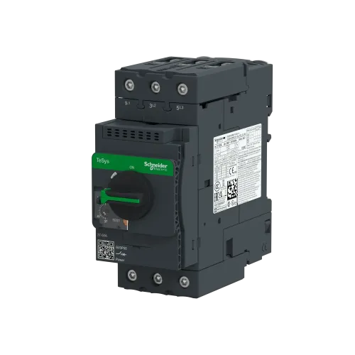 Автоматический выключатель термо-магнитный Everlink, 50 A GV3P50