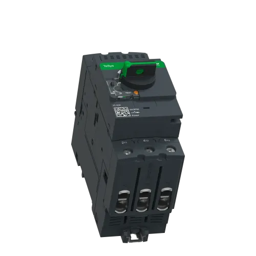 Автоматический выключатель термо-магнитный Everlink, 50 A GV3P50