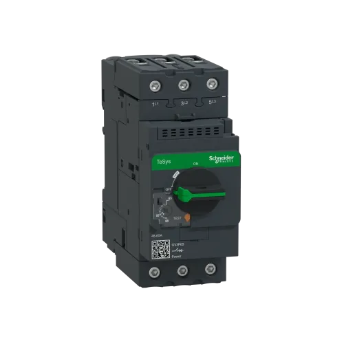 Автоматический выключатель термо-магнитный Everlink, 65 A GV3P65