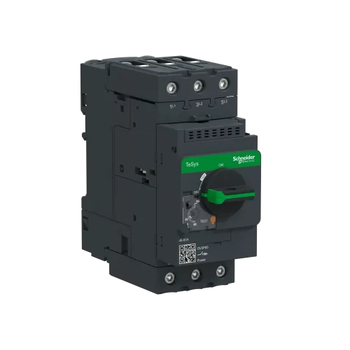 Автоматический выключатель термо-магнитный Everlink, 65 A GV3P65