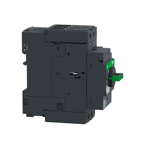 Автоматический выключатель термо-магнитный Everlink, 65 A GV3P65