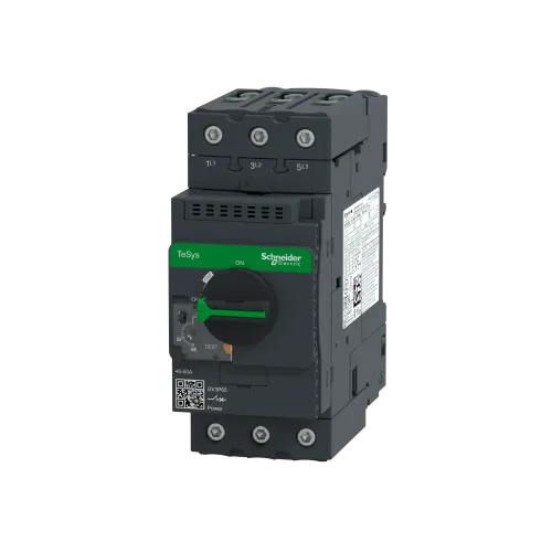 Автоматический выключатель термо-магнитный Everlink, 65 A GV3P65