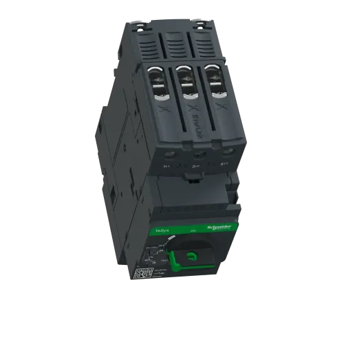 Автоматический выключатель термо-магнитный Everlink, 65 A GV3P65