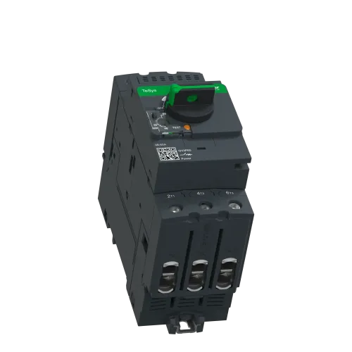 Автоматический выключатель термо-магнитный Everlink, 65 A GV3P65