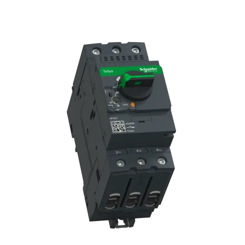 Автоматический выключатель термо-магнитный Everlink, 65 A GV3P65