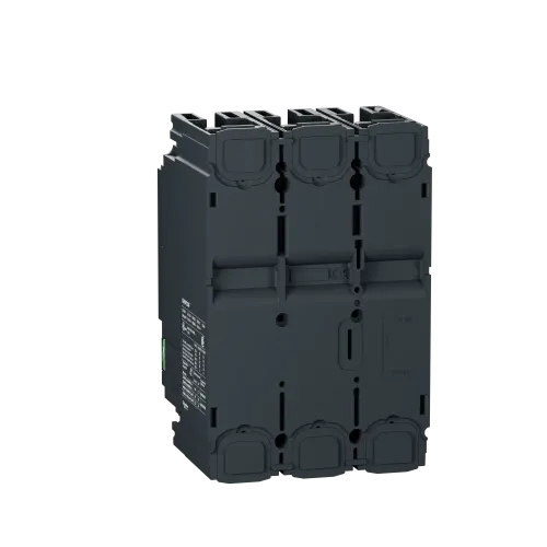 Автоматический выключатель GV5P T/M 220A 36kA GV5P220F