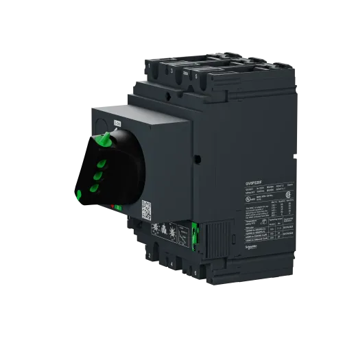 Автоматический выключатель GV5P T/M 220A 36kA GV5P220F