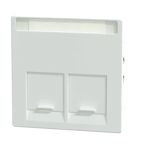 Накладка компьютерной розетки RJ45, двойная, активный белый, Merten MTN469925