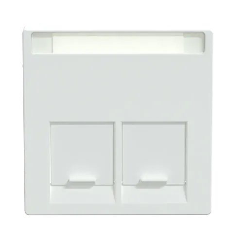Накладка компьютерной розетки RJ45, двойная, активный белый, Merten MTN469925